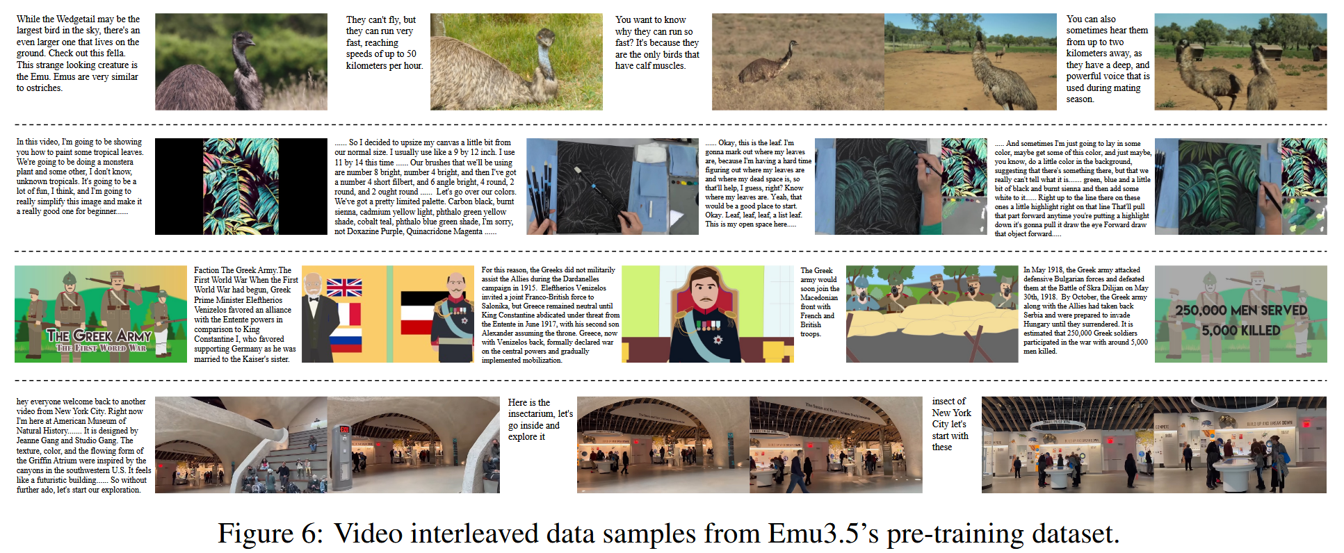Emu3.5 video interleaved data